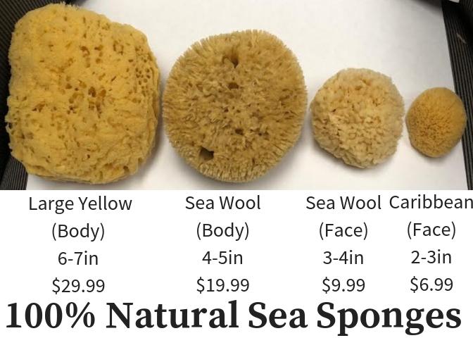 Natural Sea Sponges - Time Gods