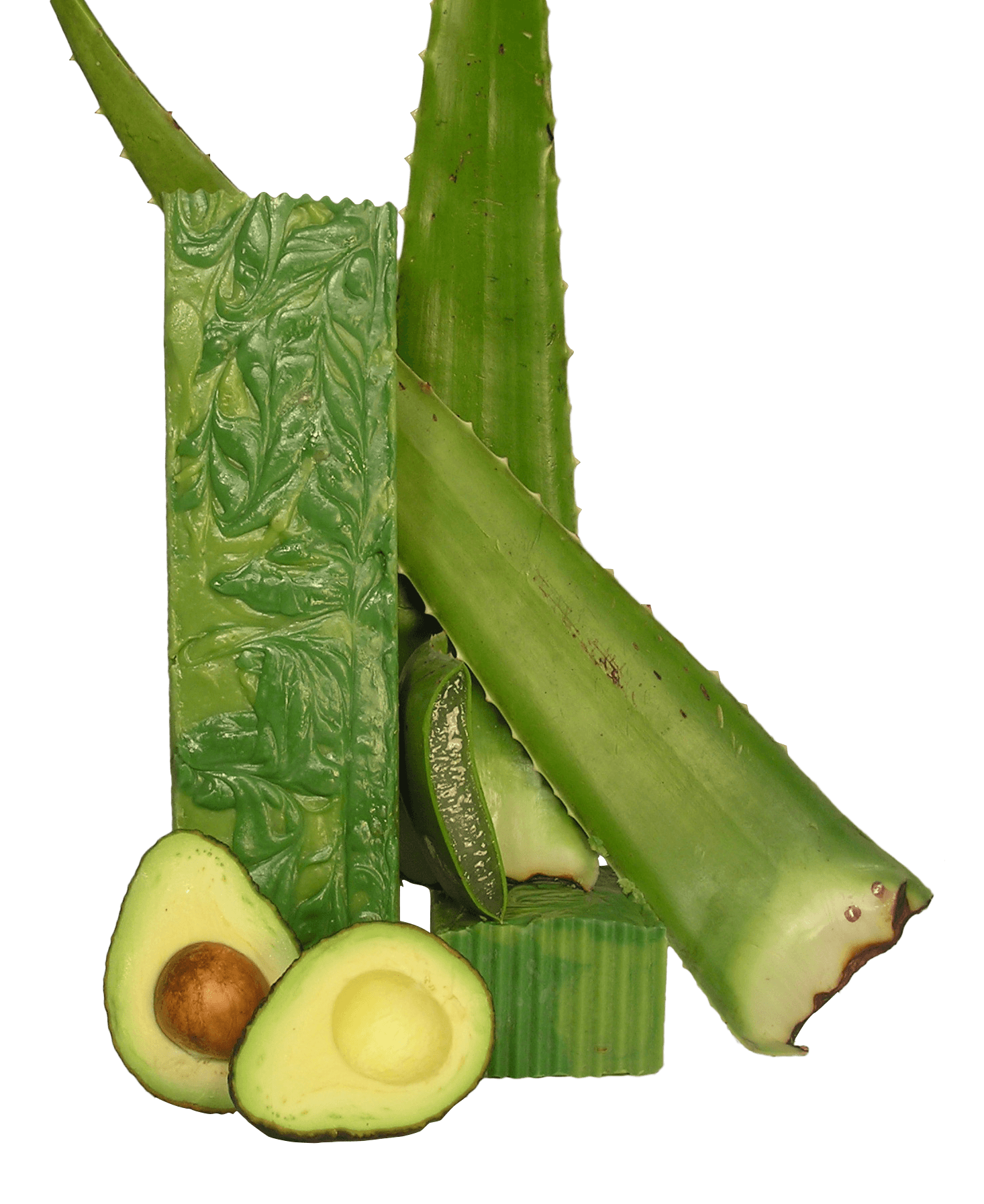 Aloe Avocado
