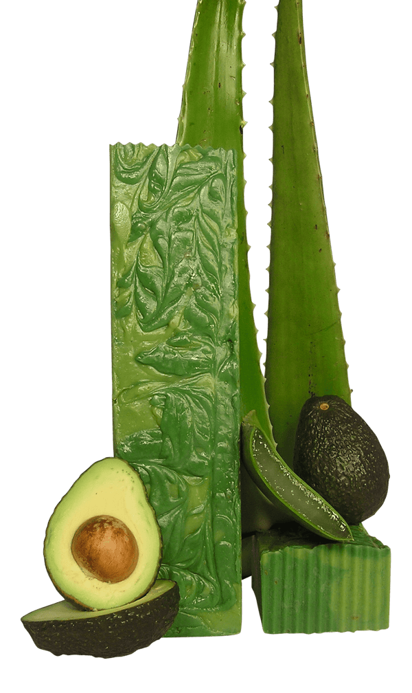 Aloe Avocado - Time Gods